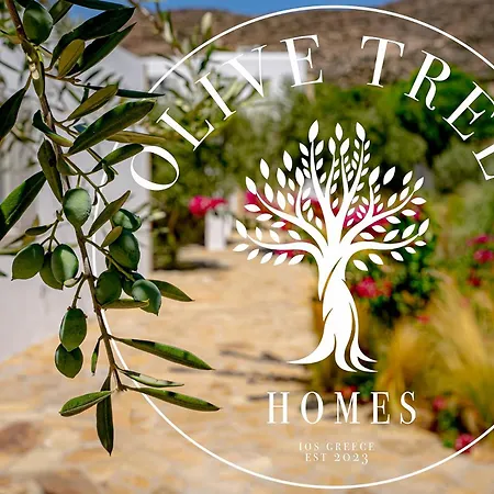 Olive Tree Homes * Mylopotas